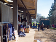 FB260322-120 - Fergal O'Brien Stable Visit